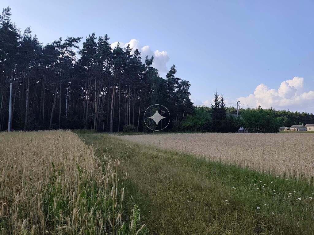 Działki budowlane w pobliżu lasu- Folwark Piaski