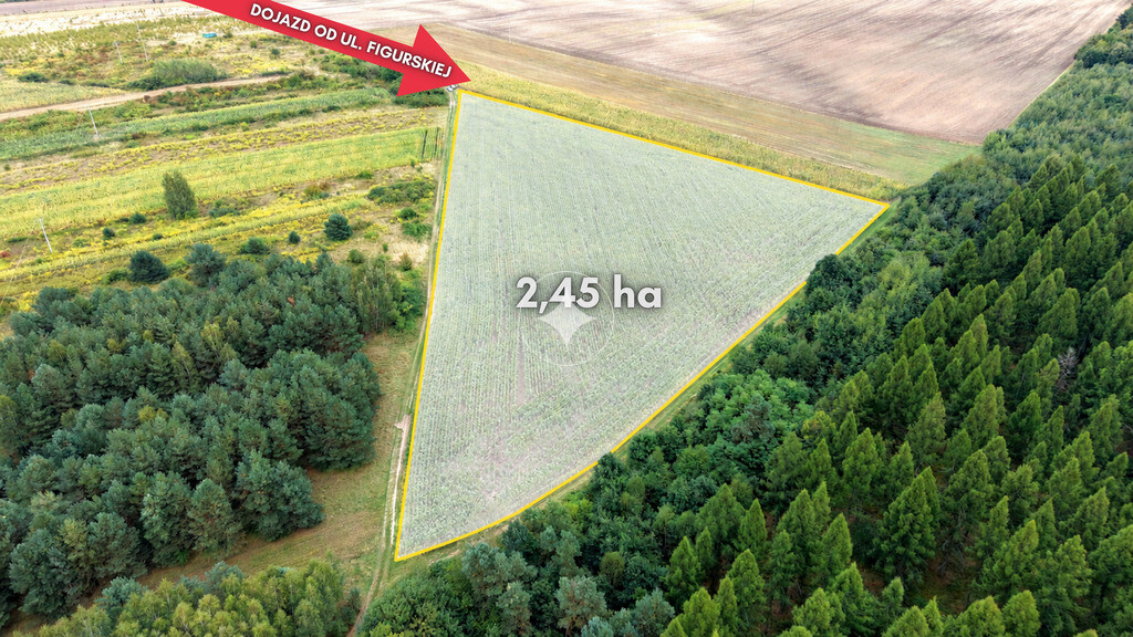 Działka rolna 2,45ha z uprawą kukurydzy | gm Janów