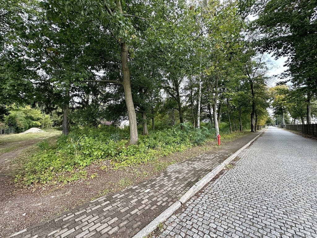 Działka w Świętoszowie 13,5 a